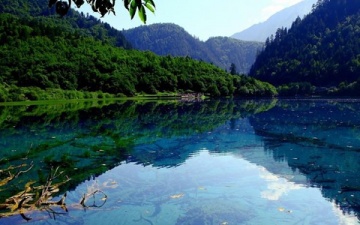 九寨沟门票价格