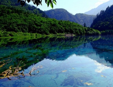 九寨沟门票价格